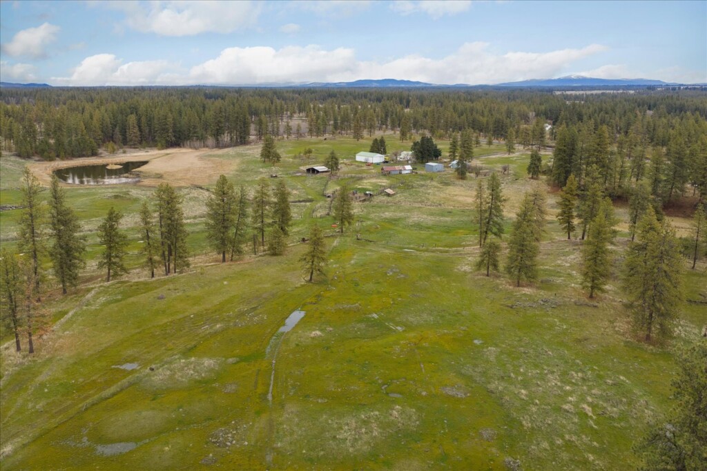 01-29105 S Cheney Plaza Rd-175