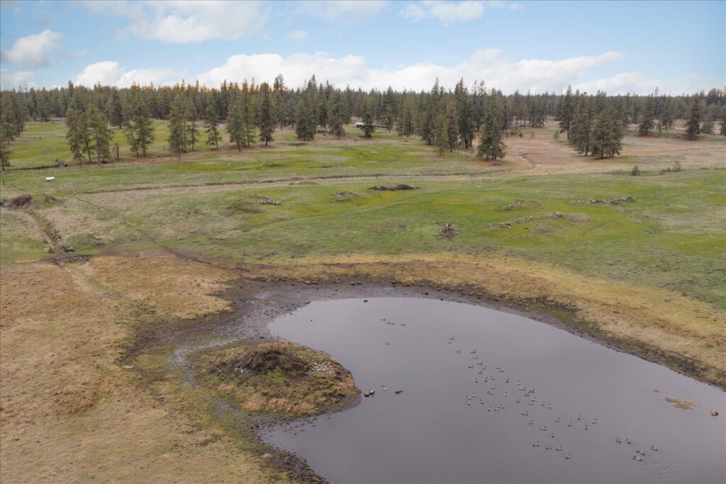 11-29105 S Cheney Plaza Rd-185