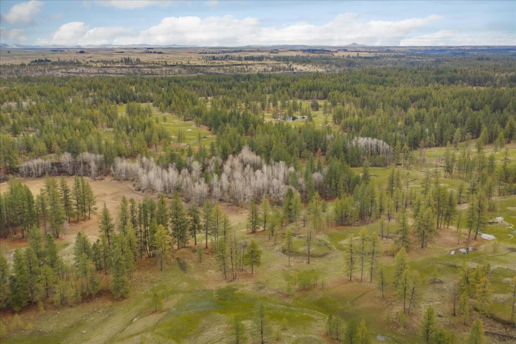 12-29105 S Cheney Plaza Rd-186