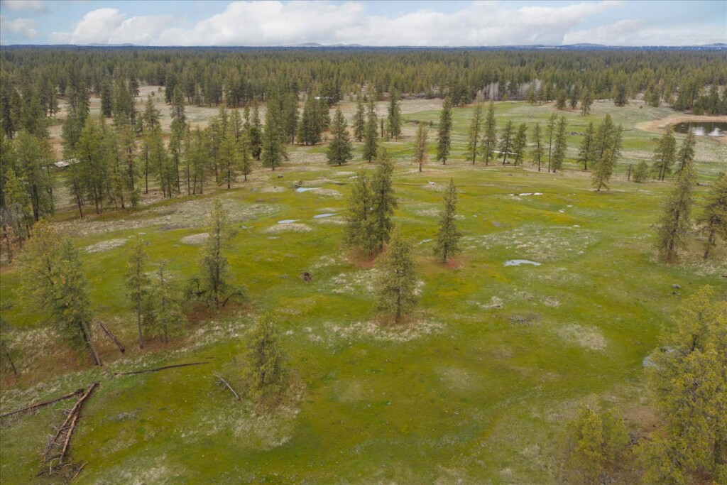 32-29105 S Cheney Plaza Rd-206