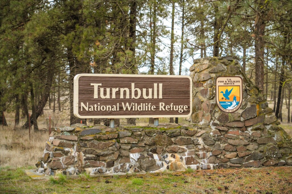 56-29105 S Cheney Plaza Rd-227