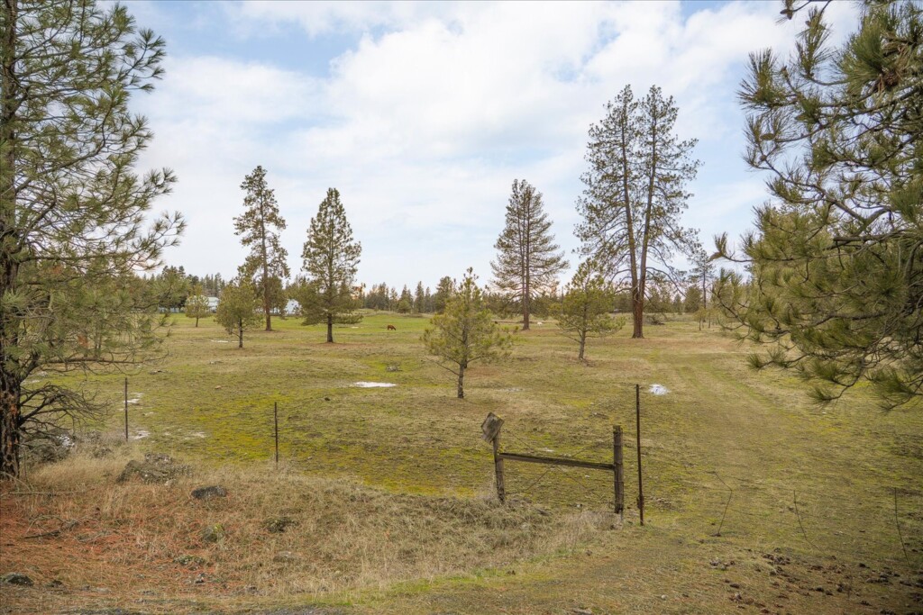 58-29105 S Cheney Plaza Rd-229