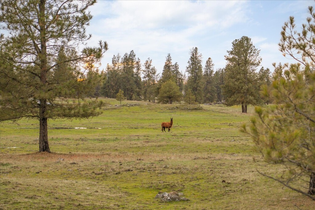 59-29105 S Cheney Plaza Rd-230